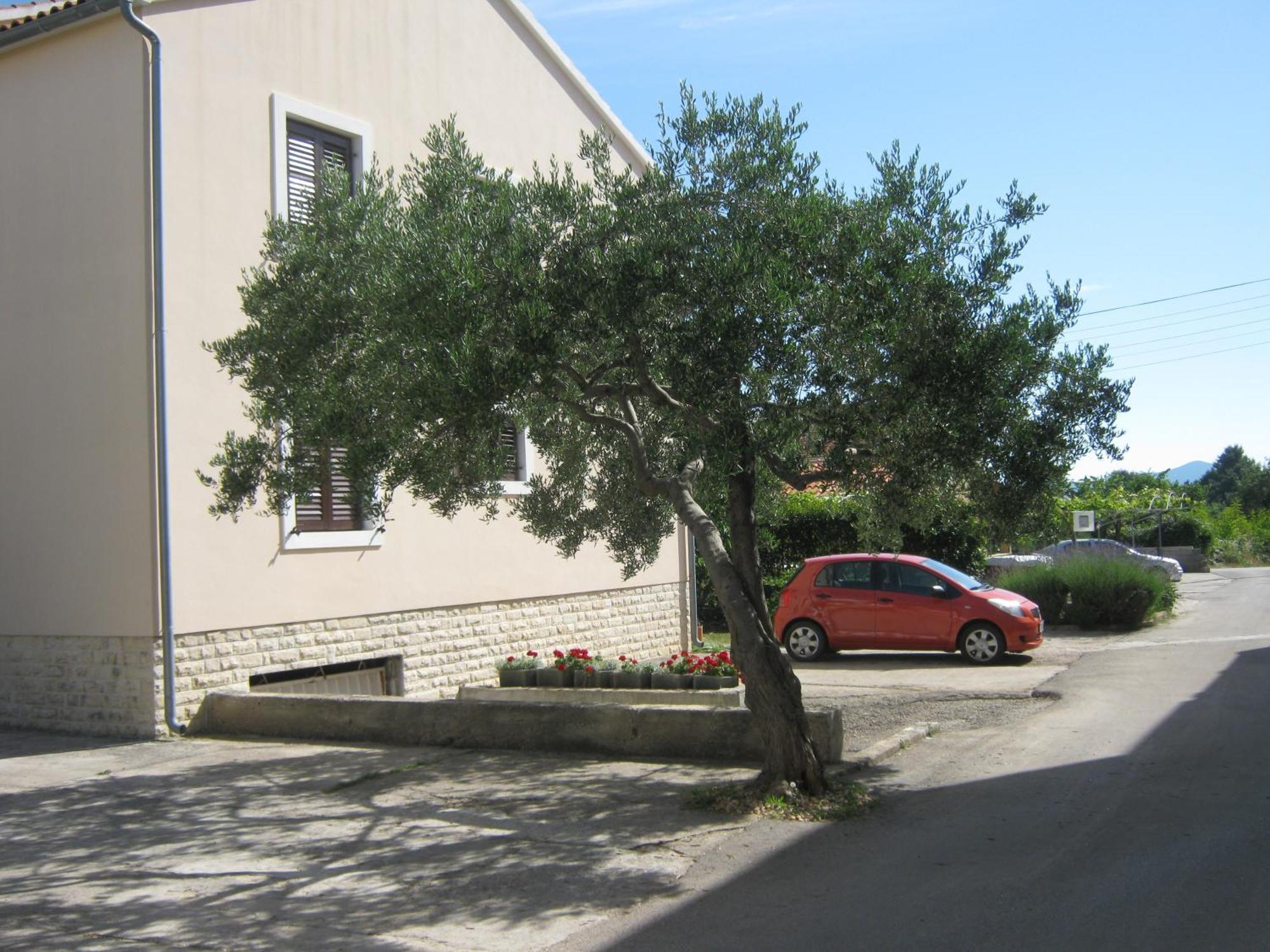 Apartments Blanka Zadar Dış mekan fotoğraf